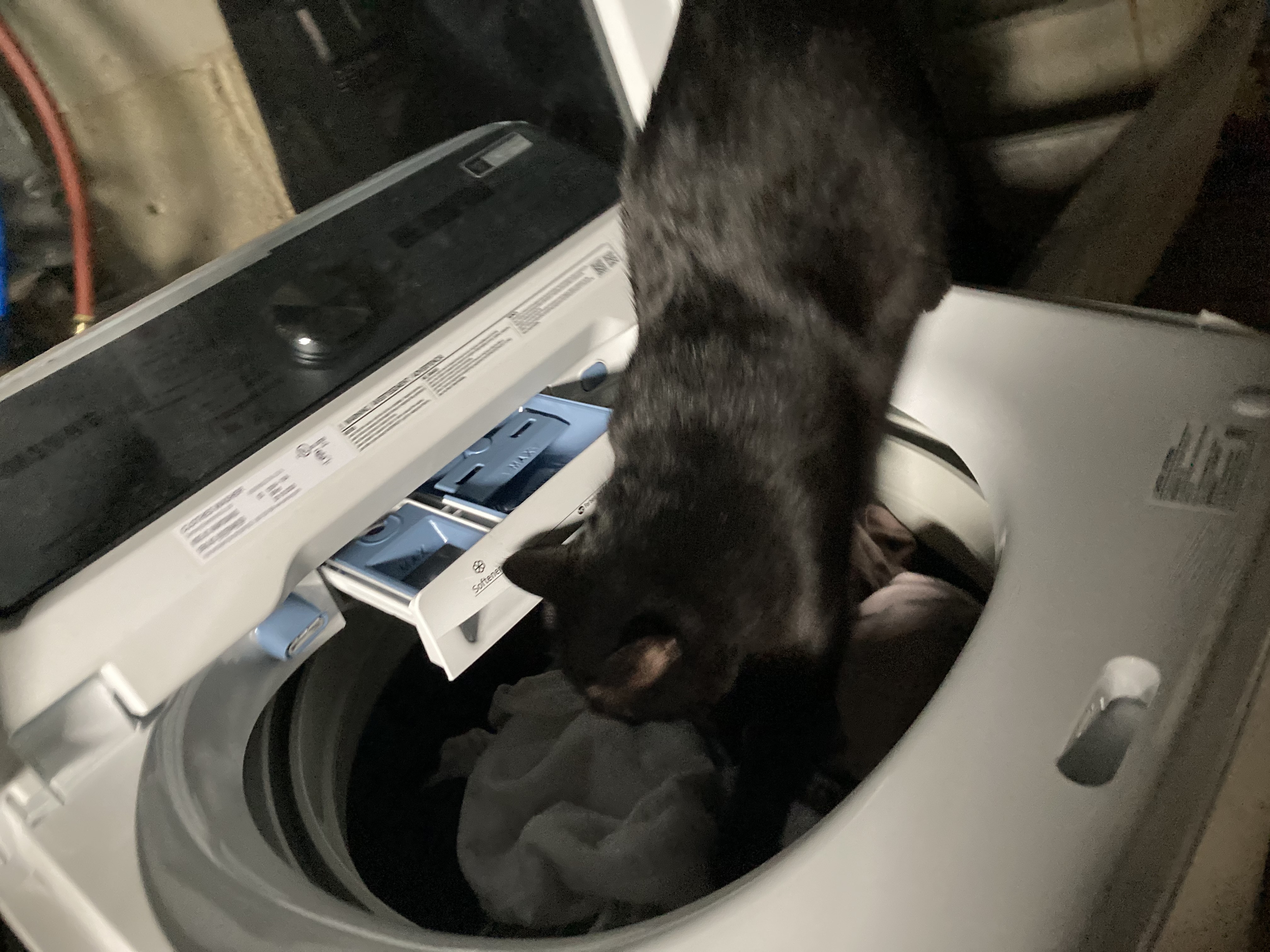 Ninja doing laundry